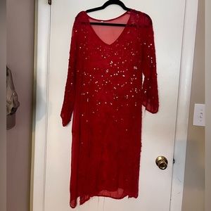 Sparkly Sheer Cover  Dress